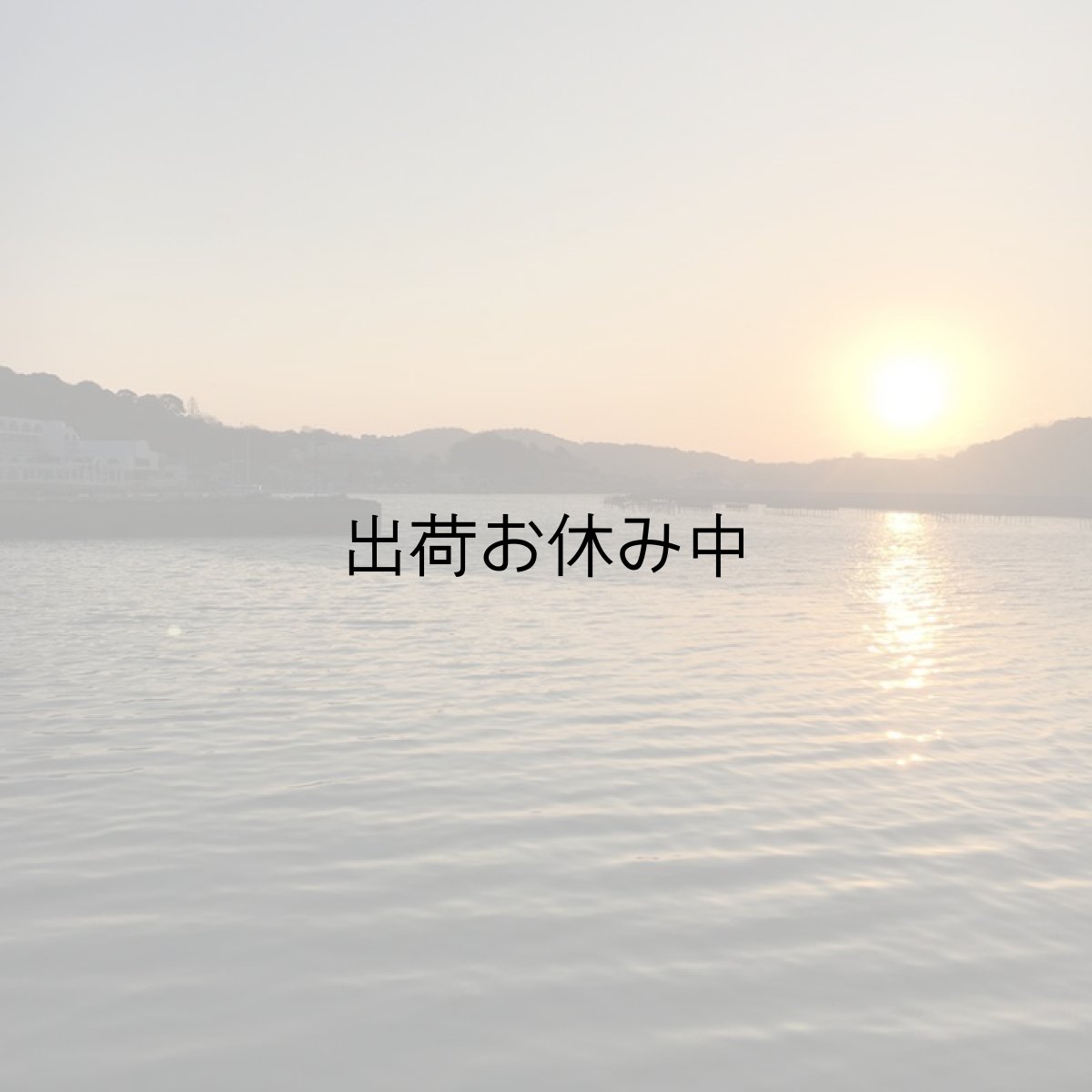 画像6: 岡山牛窓産　殻付牡蠣 (6)