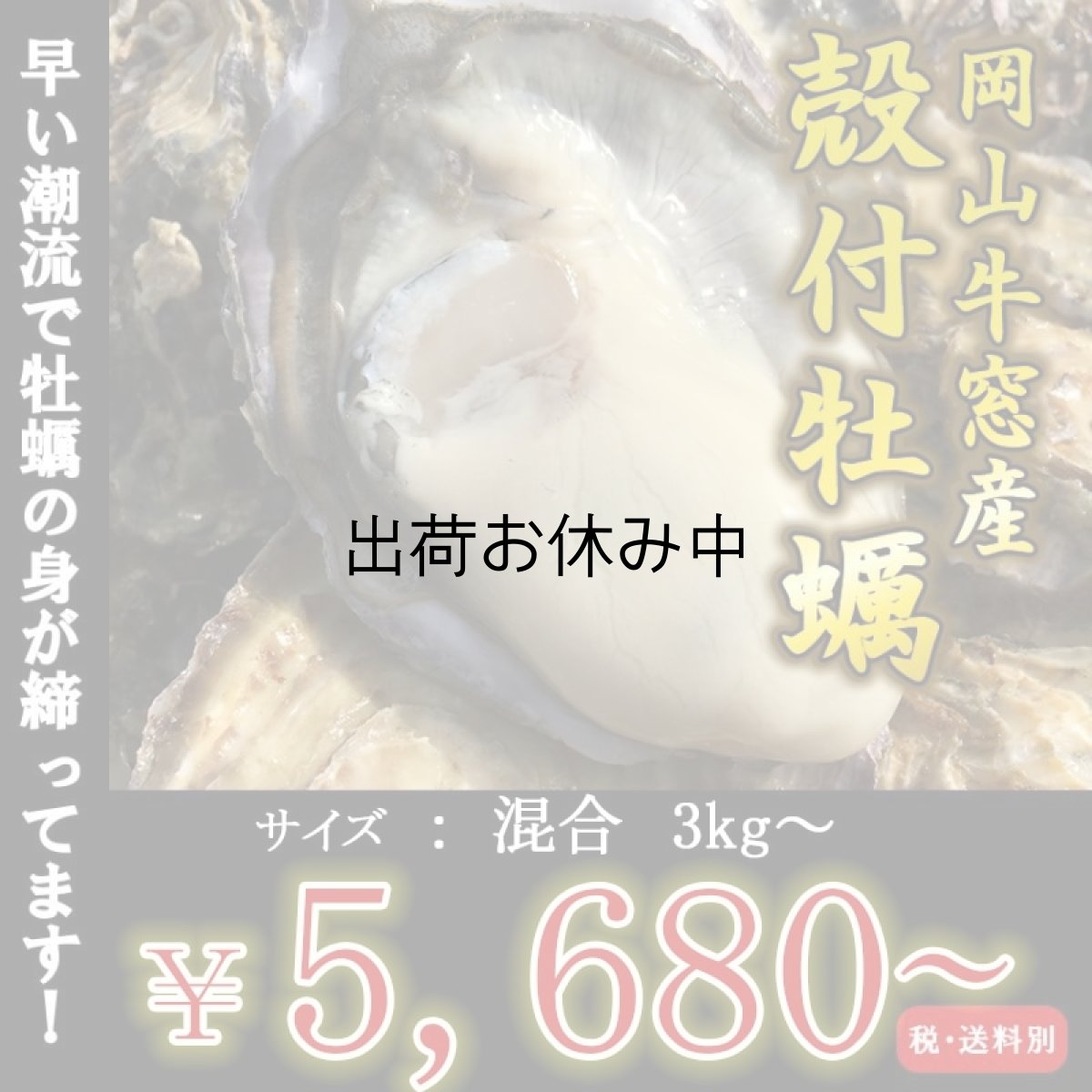 画像1: 岡山牛窓産　殻付牡蠣 (1)