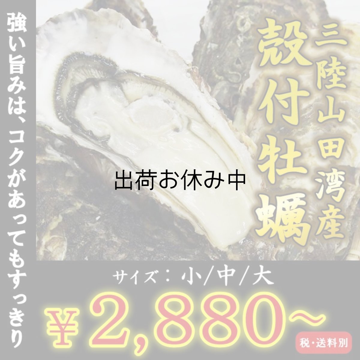 画像1: 三陸山田湾産　殻付牡蠣 (1)
