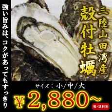 画像1: 三陸山田湾産　殻付牡蠣 (1)