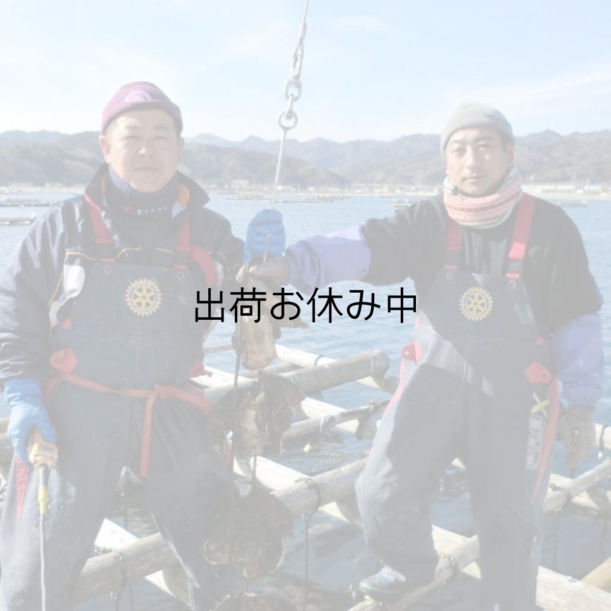 画像9: 三陸山田湾産 殻付牡蠣 (9)