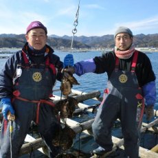 画像2: 三陸山田湾産　牡蠣のガンガン焼き (2)