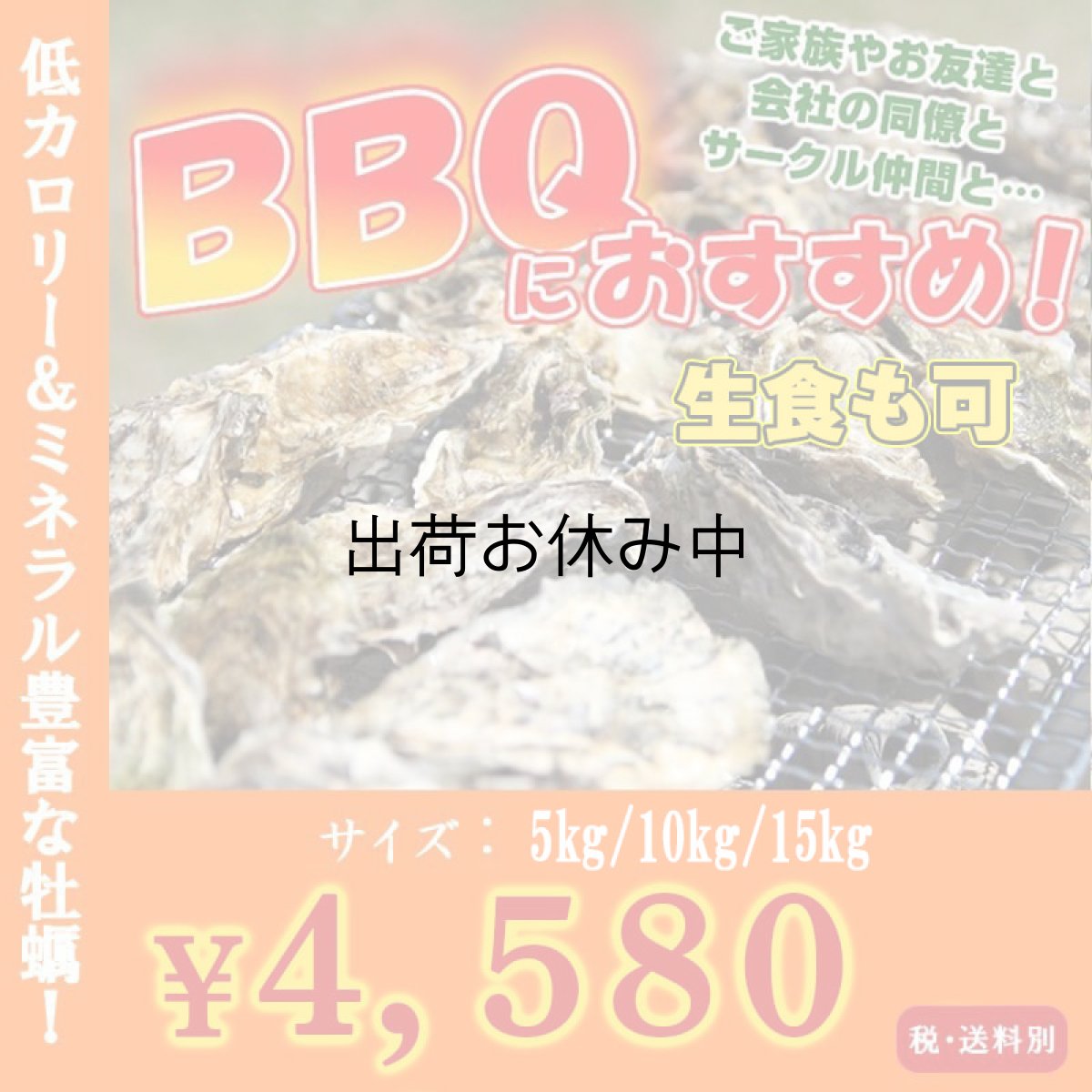 画像1: 三陸山田湾産　バーベキュー用ふぞろい殻付牡蠣 (1)