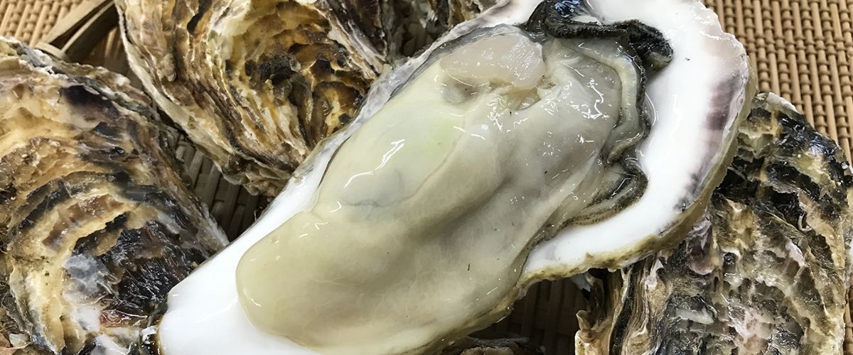牡蠣・岩牡蠣を産地直送 カキ専門店 【海鮮直送 旨い牡蠣屋】
