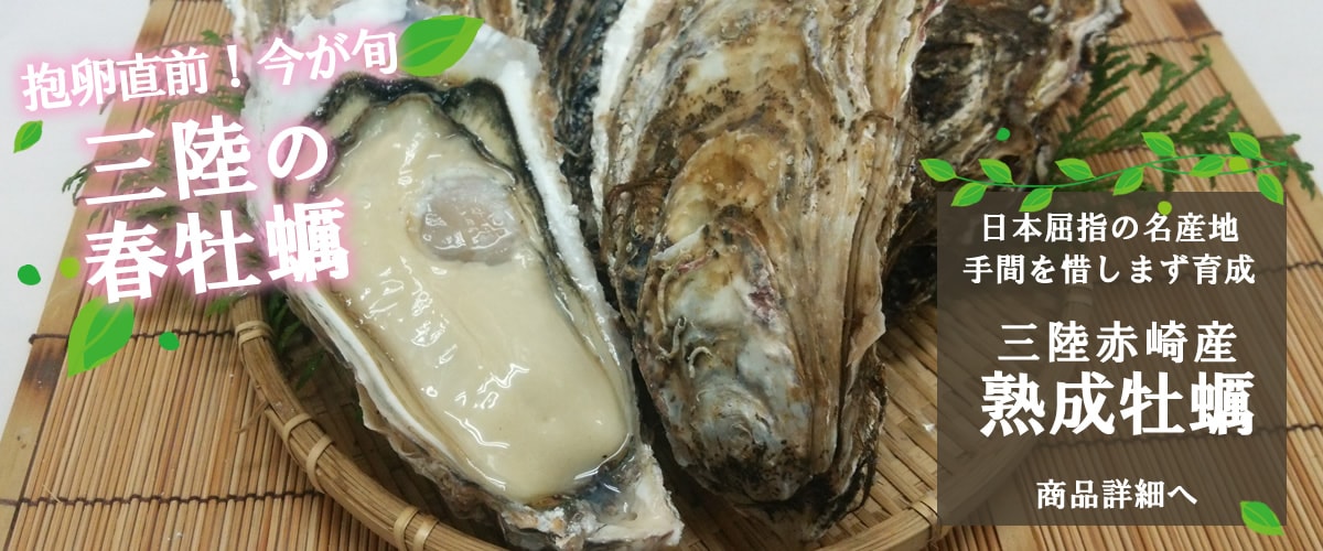 牡蠣 岩牡蠣を産地直送 カキ通販専門店 海鮮直送 旨い牡蠣屋 牡蠣 岩牡蠣を産地直送 カキ通販専門店 海鮮直送 旨い牡蠣屋