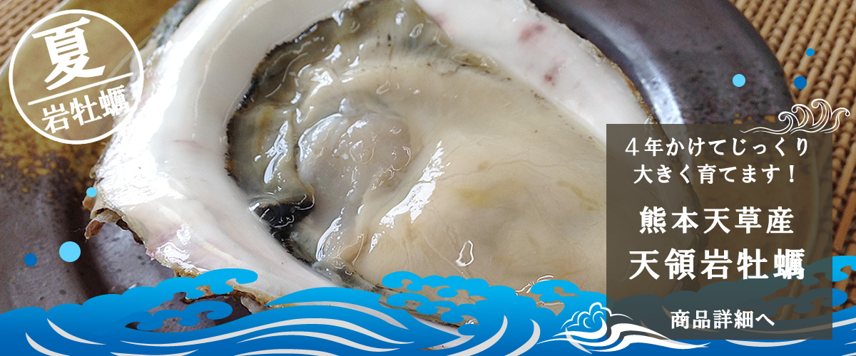 牡蠣・岩牡蠣を産地直送 カキ通販専門店 【海鮮直送 旨い牡蠣屋】