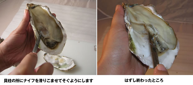殻付き牡蠣剥き方