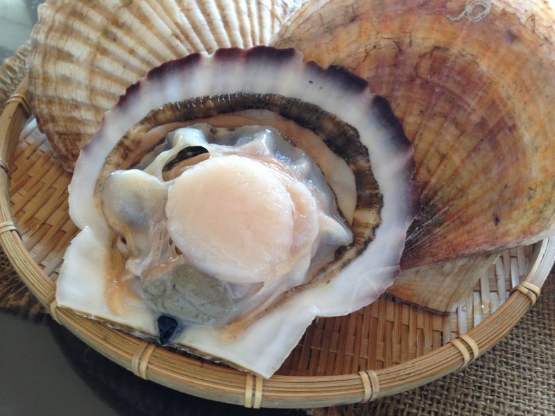 北海道野付産 殻付ジャンボホタテを産地直送／牡蠣の通販専門店海鮮直送 旨い！牡蠣屋