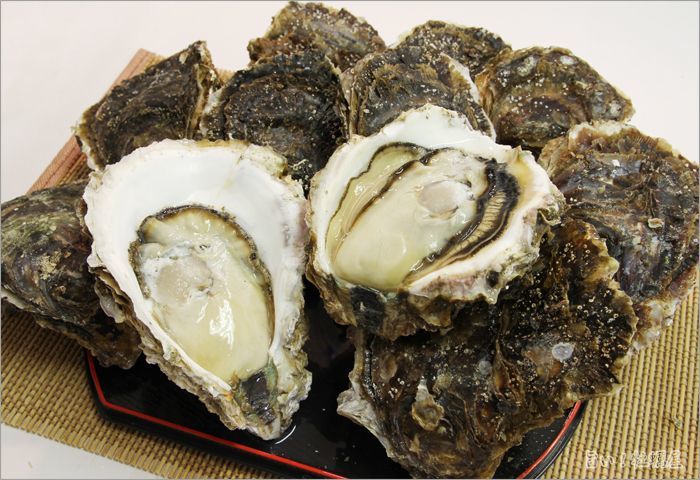 三陸　赤崎産　岩牡蠣