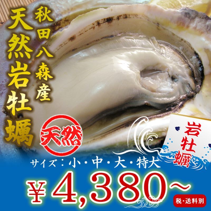 秋田八森産　天然岩牡蠣