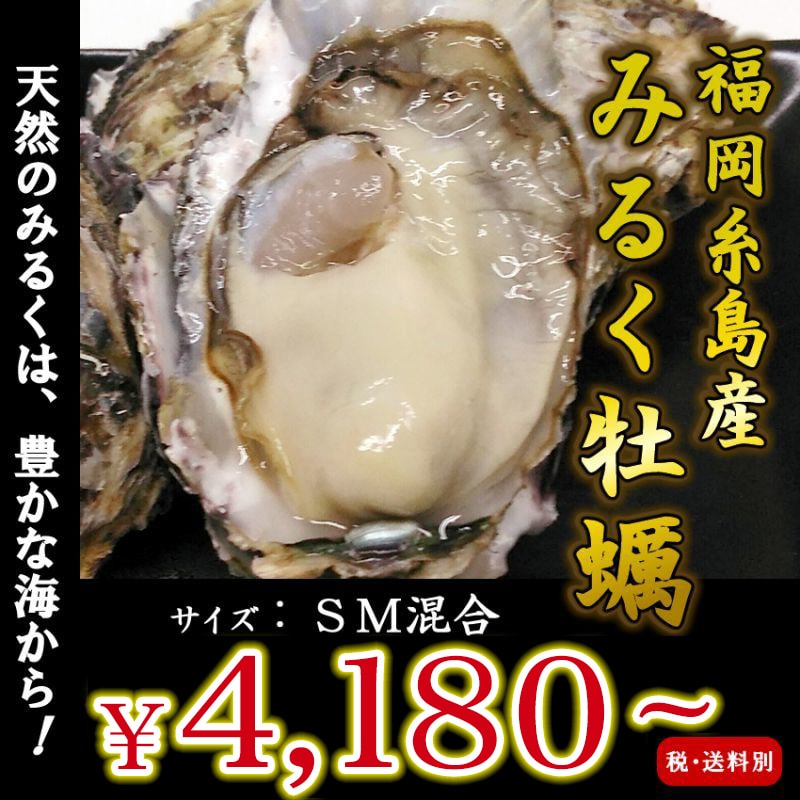 画像1: 福岡糸島産　みるく牡蠣 (1)