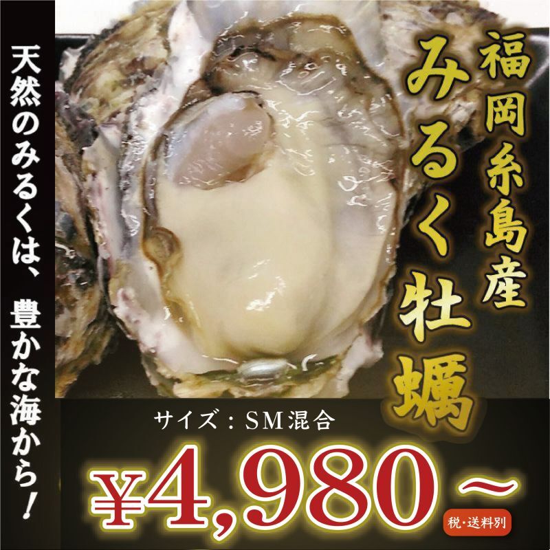 福岡糸島産　みるく牡蠣
