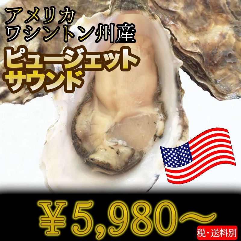 アメリカワシントン州産ピュージェットサウンド