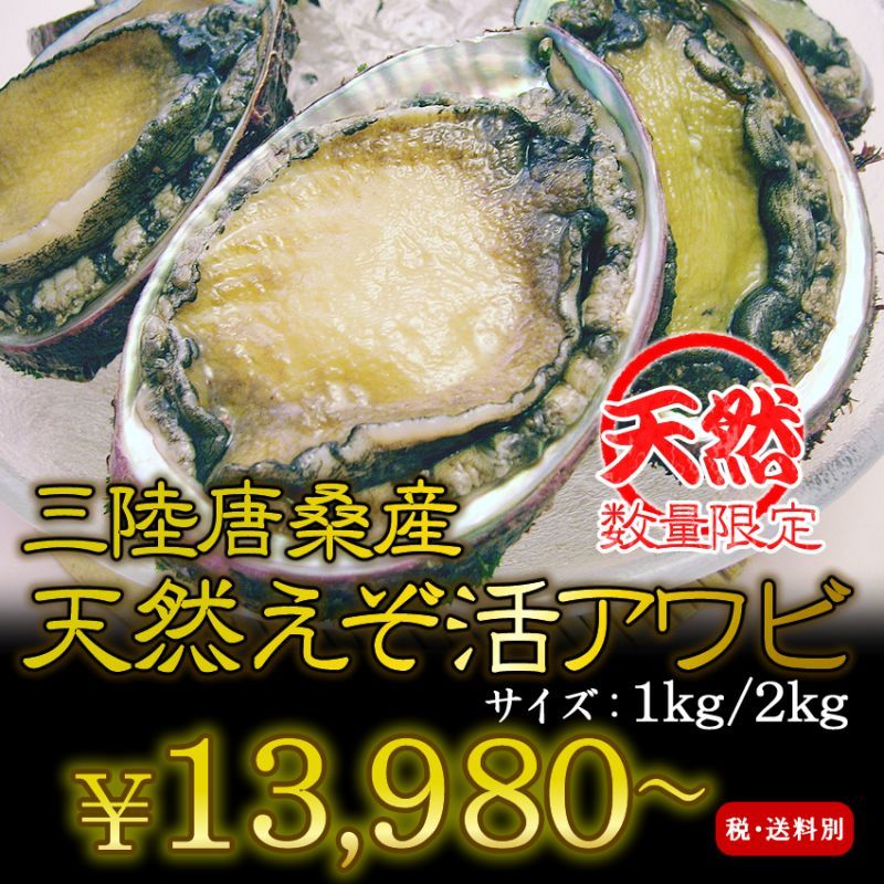 三陸唐桑産　天然活蝦夷アワビ