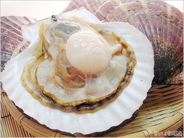 三陸唐桑産　殻付ホタテ貝