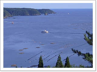 唐桑の海斗半島