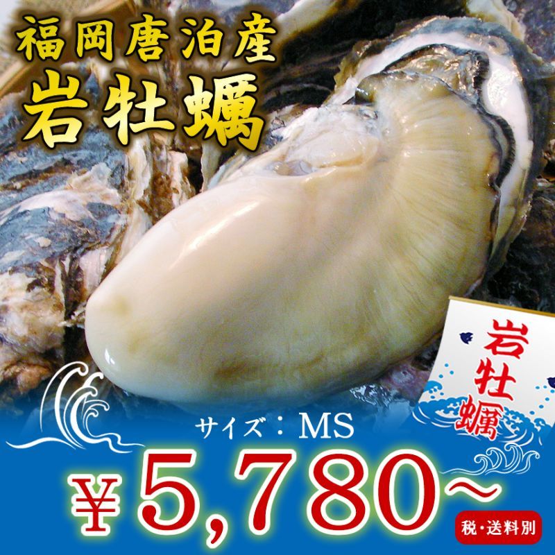 福岡唐泊産　岩牡蠣