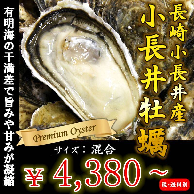 長崎小長井産 殻付牡蠣を産地直送 牡蠣の通販専門店海鮮直送 旨い 牡蠣屋
