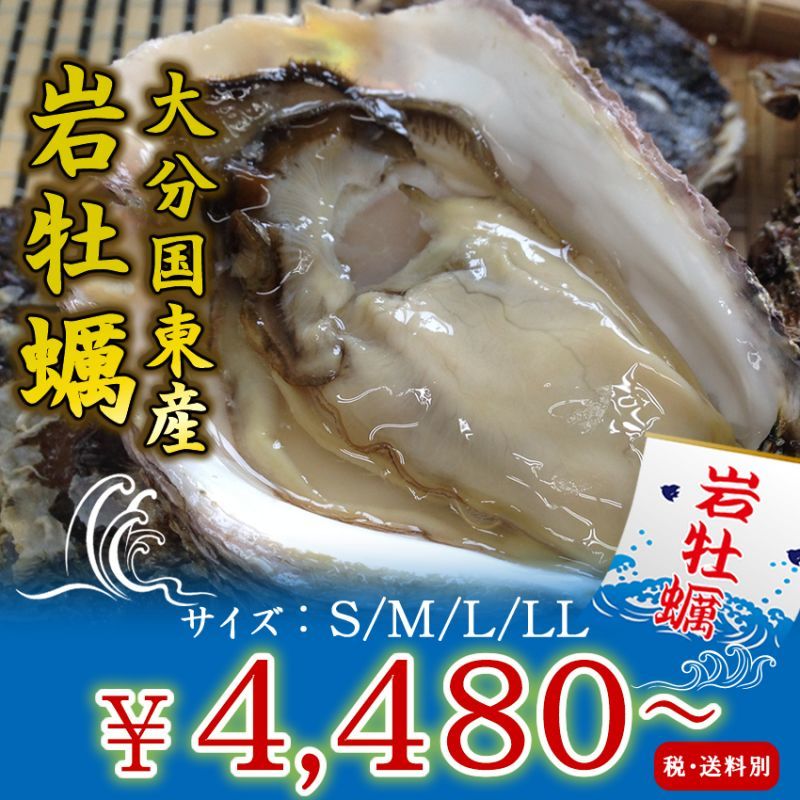 大分国東産 岩牡蠣を産地直送 牡蠣の通販専門店海鮮直送 旨い 牡蠣屋