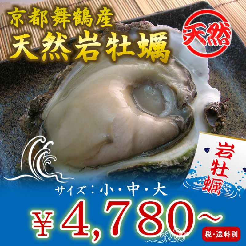 画像1: 京都舞鶴産　天然岩牡蠣・育成岩牡蠣 (1)