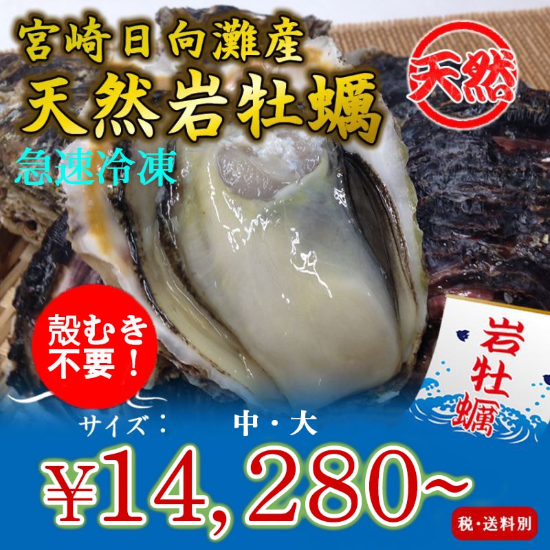 宮崎日向灘産　天然岩牡蠣 （冷凍・生食用）