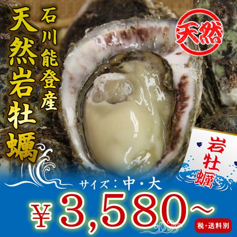 石川能登産 天然岩牡蠣を産地直送／牡蠣の通販専門店海鮮直送 旨い！牡蠣屋