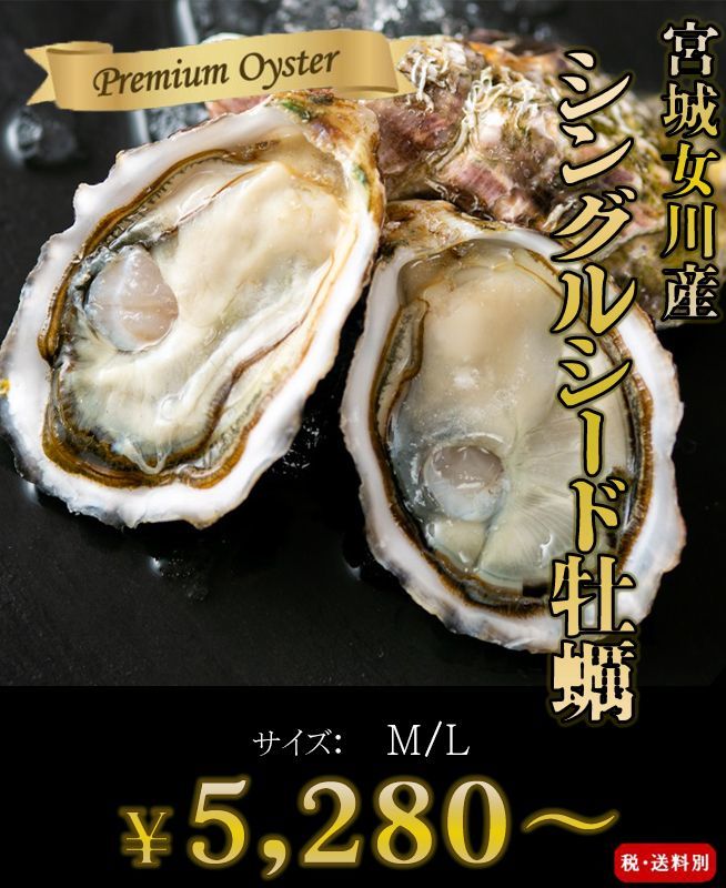 三陸女川産　シングルシード牡蠣