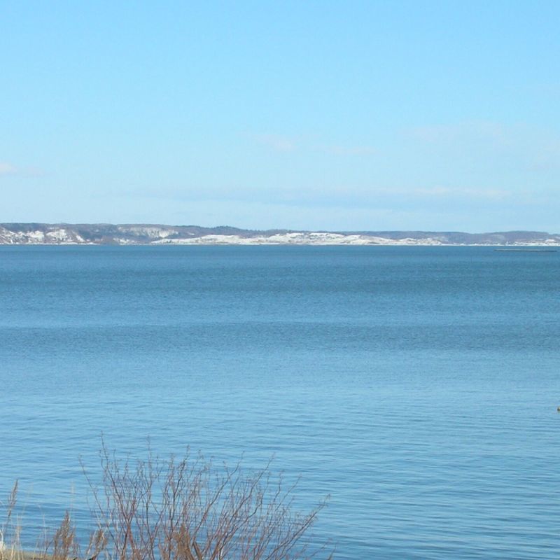 画像10: 北海道仙鳳趾産　殻付牡蠣 (10)