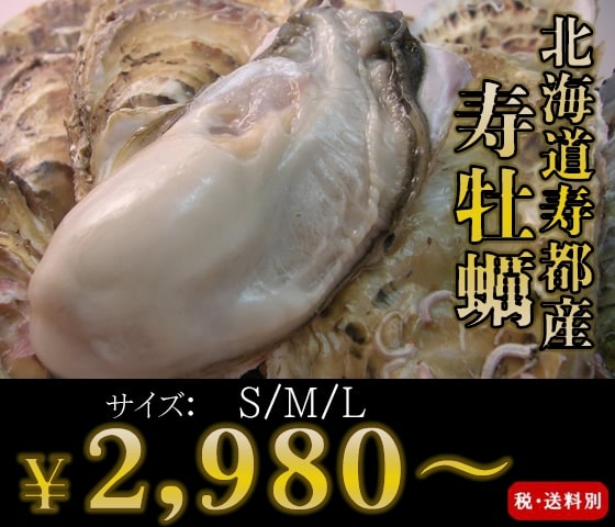 北海道寿都産　殻付牡蠣　寿牡蠣