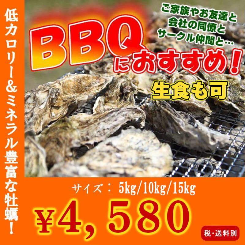 画像1: 三陸山田湾産　バーベキュー用ふぞろい殻付牡蠣 (1)